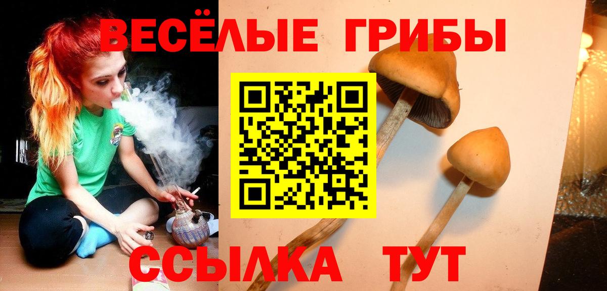Псилоцибиновые грибы MAGIC MUSHROOMS  Вход с VPN  Галлюциногенные грибы мицелий  Благодарный 